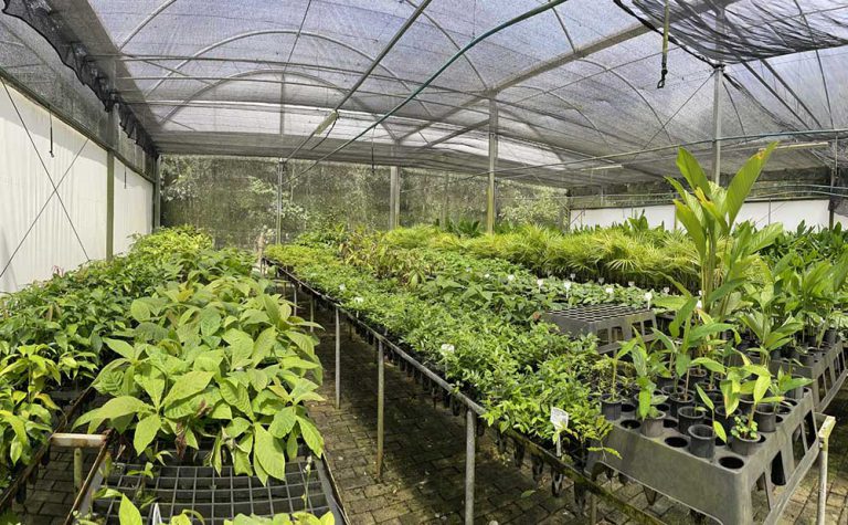 Centro de Biodiversidade do Legado das Águas une tecnologia e pesquisa